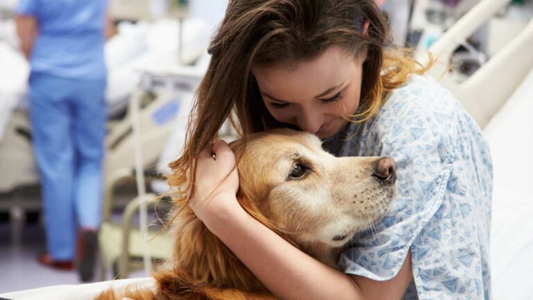 Hospital patient hugging a golden retriever therapy dog